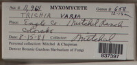 Image Associated With the Occurence
